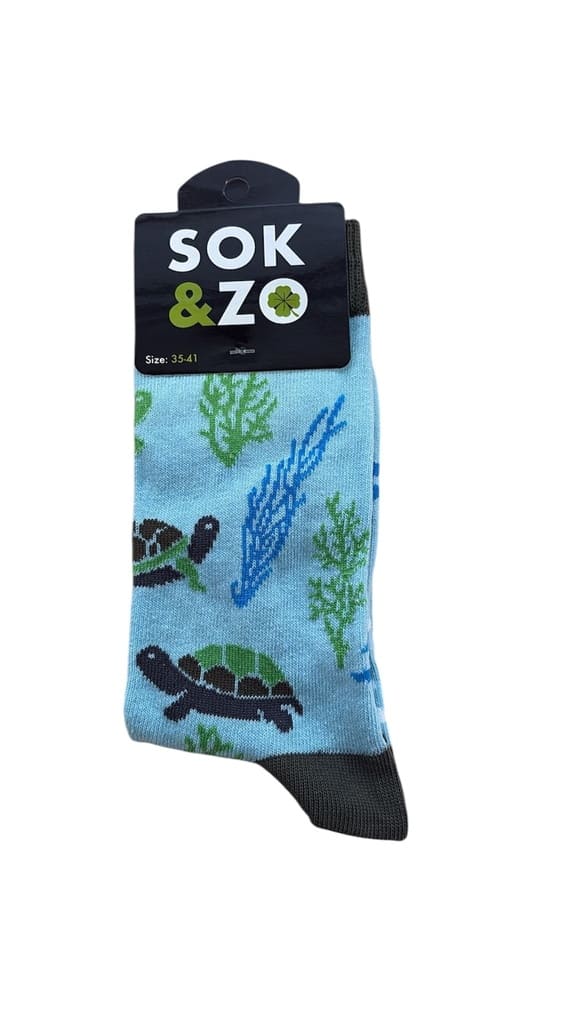 Schildpadden – Aqua