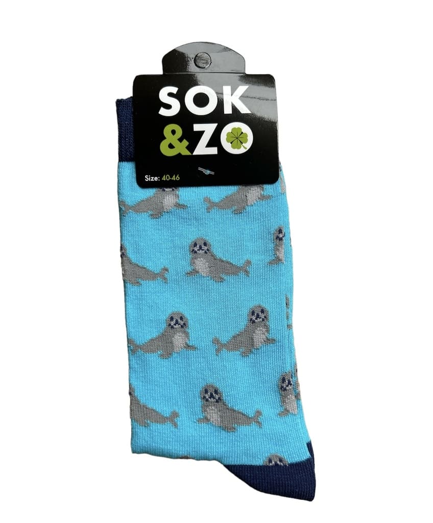 Zeehond – Turquoise